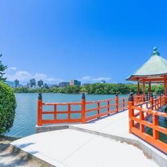 6月1日（日曜日）の午前中にウォーキングしませんか？🌳👟