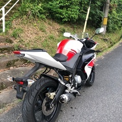 ヤマハ　yzf-r125 2009年式の画像