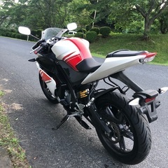 ヤマハ　yzf-r125 2009年式の画像