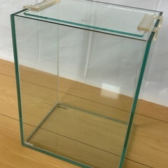 コンパクトなガラスの水槽