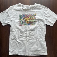 ポケモンTシャツ140cmの画像