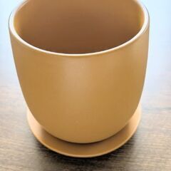 植木鉢　穴あり　陶器　受け皿付き