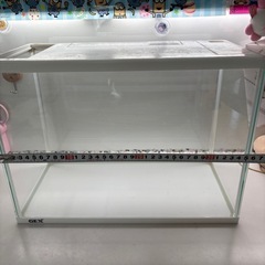 水槽