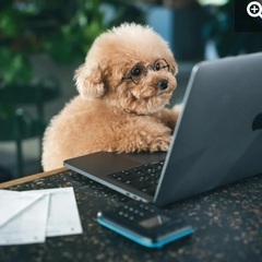 一緒にプログラミングを勉強して副業を目指す仲間を募集します！