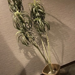 フェイクグリーン⑥🪴 観葉植物 