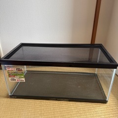 GEX 60cm 水槽で