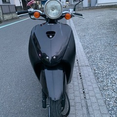 HONDA TODAY 50cc 美品