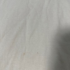championTシャツの画像