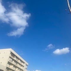 朝活 あさんぽ