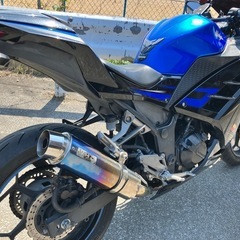 ニンジャ250
