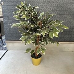 人工観葉植物 フェイクグリーン 観葉樹の画像