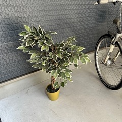人工観葉植物 フェイクグリーン 観葉樹の画像
