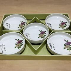 美濃焼き　お皿5枚セット