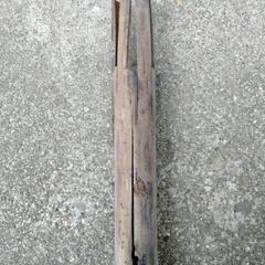 モリ　槍　魚取り　夏休みの画像