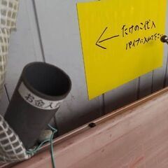 大好評たけのこ淡竹1袋詰め放題500円1ｋｇ以上入ります。お渡し当日のみ予約OKの画像