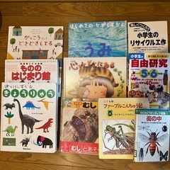 絵本や図鑑セットの画像