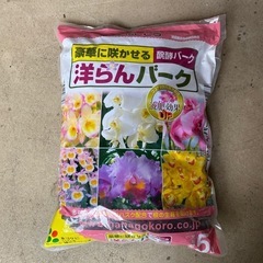 バークの画像