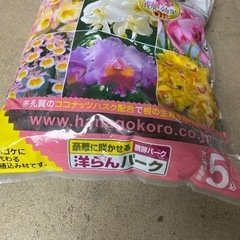 バークの画像