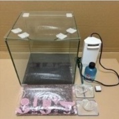 30センチキューブ水槽一式セット