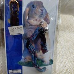 未使用　うさぎのリード、ベルカラーの画像