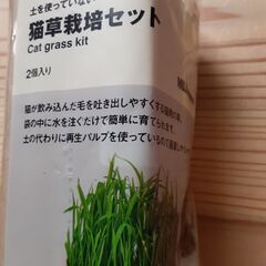 無印良品　猫草栽培セット（2個入り）