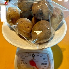 新じゃがキタアカリ400g 
③