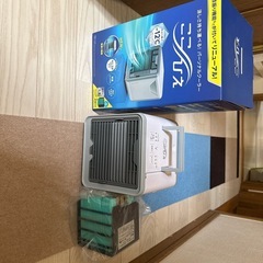 ここひえ