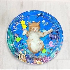 ウォーターマット　ペット用の画像