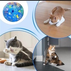 ウォーターマット　ペット用の画像