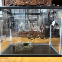 水槽セット　濾過フィルター　ヒーターの画像