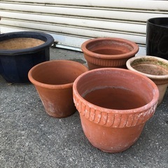 ガーデニング 植木鉢 9点の画像