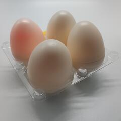 【在庫処分 定価2400円】 FEELINGEGG バンプレスト 光る卵 LED ４色 の画像