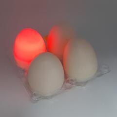 【在庫処分 定価2400円】 FEELINGEGG バンプレスト 光る卵 LED ４色 の画像