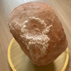 ヒマラヤソルトランプの画像