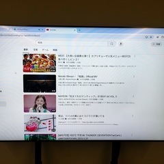 モニター 55インチ パナソニック TH-55LF80J