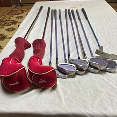 女性用ゴルフセットの画像