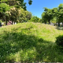 ゆっくり付き合っていけるお友達募集🍀