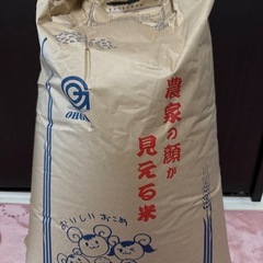 令和6年産 コシヒカリ 玄米30k
