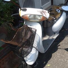 原付き(ホンダ・タクト)の画像