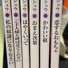 ワンコインに値下げ！【小説】サタミシュウ　6冊のセット　