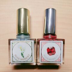🍎ブルーモーメントネイルポリッシュ マニュキュア 2種類各1本 ...