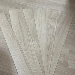 ピタフィー　LPF531
 