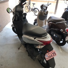 ホンダディオ110の画像