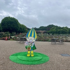 カメラメンバー募集