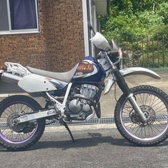 スズキ　ジェベル250XC エンジン腰上OH済み　値引き可能　