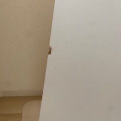 木製ボックス2個セット
の画像