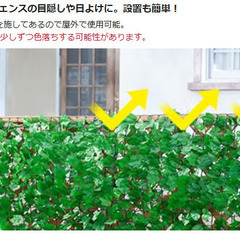 目隠しグリーンフェンス 1×2m
