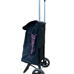 VALENTINO ショッピングカート 32L ショッピングカート パープル　 折りたたみ　傘入れ有り　 ショッピングキャリー コンパクト 軽量の画像