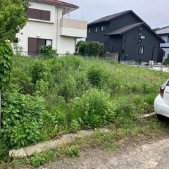 草刈り作業　単発　1.5万