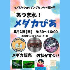 『あつまれ！メダカぴあ』イズミヤショッピングセンター西神戸店